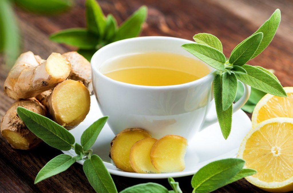Five Reasons to Drink Green Tea Daily